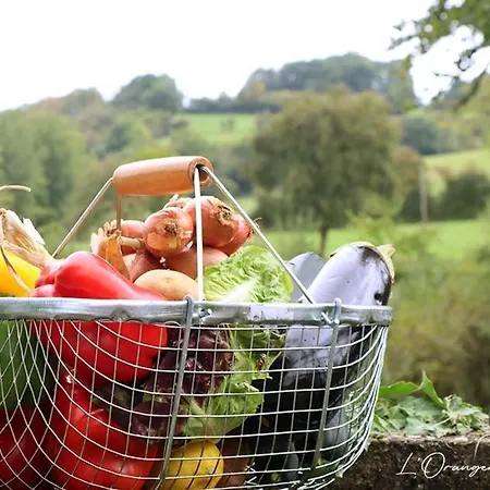 L'orangerie Normandie 度假居 Putanges